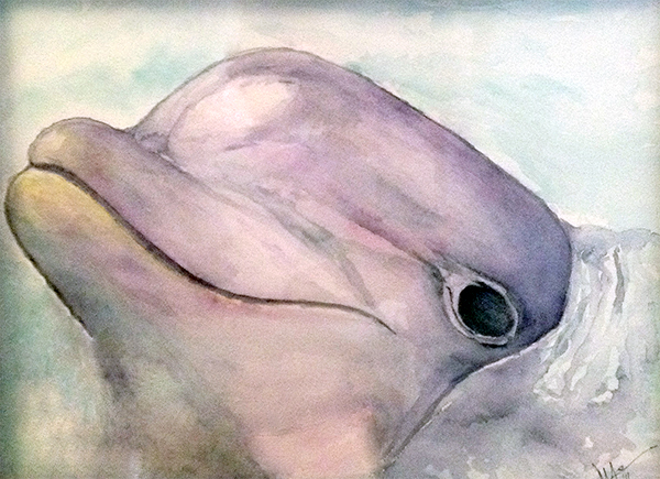 Dolphin in Watercolor