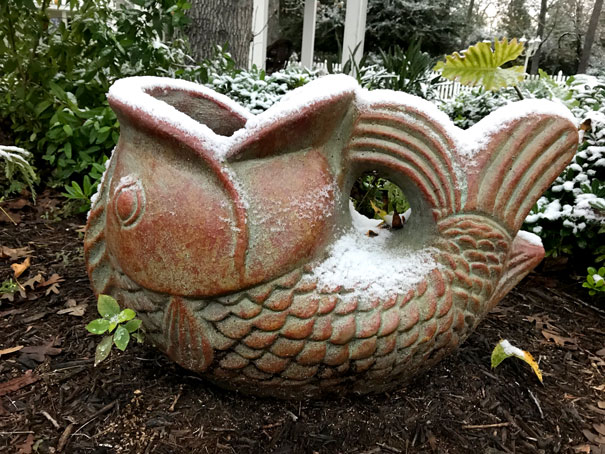 Inch of snow on fish