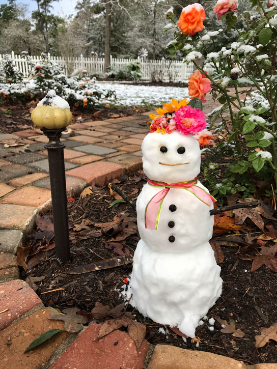 Mrs. Padilly's SnowWoman