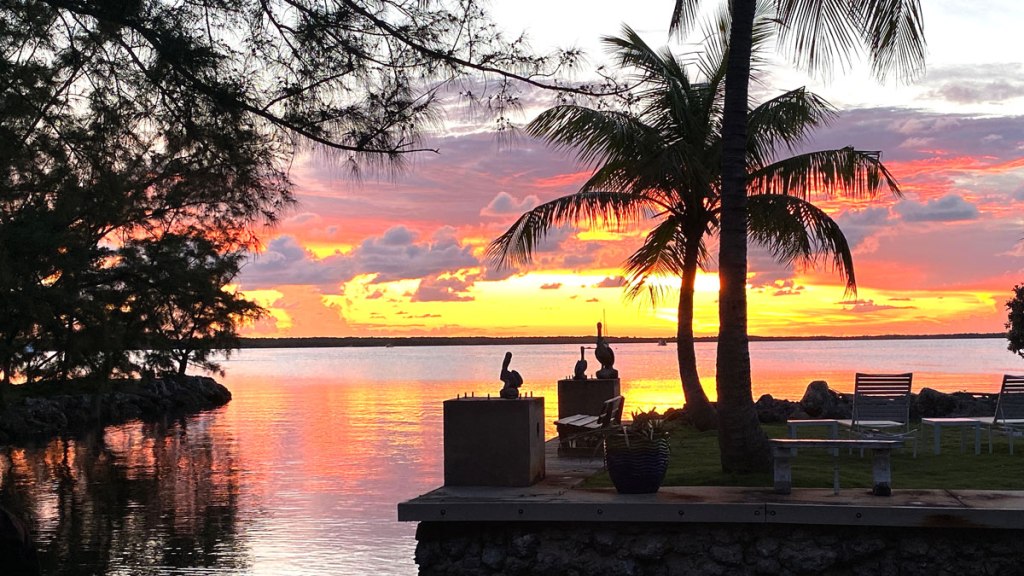 Story of a Conch&nbsp;Shell